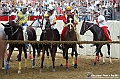 VBS_1206 - Palio di Asti 2024